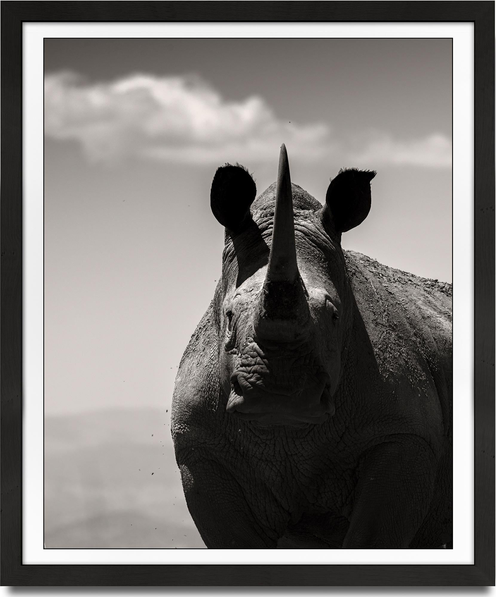 Noble Soul, africa, Rhino, animal, wildlife, black and white photography - Photograph by Joachim Schmeisser