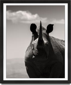 Noble Soul, africa, Rhino, animal, wildlife, black and white photography