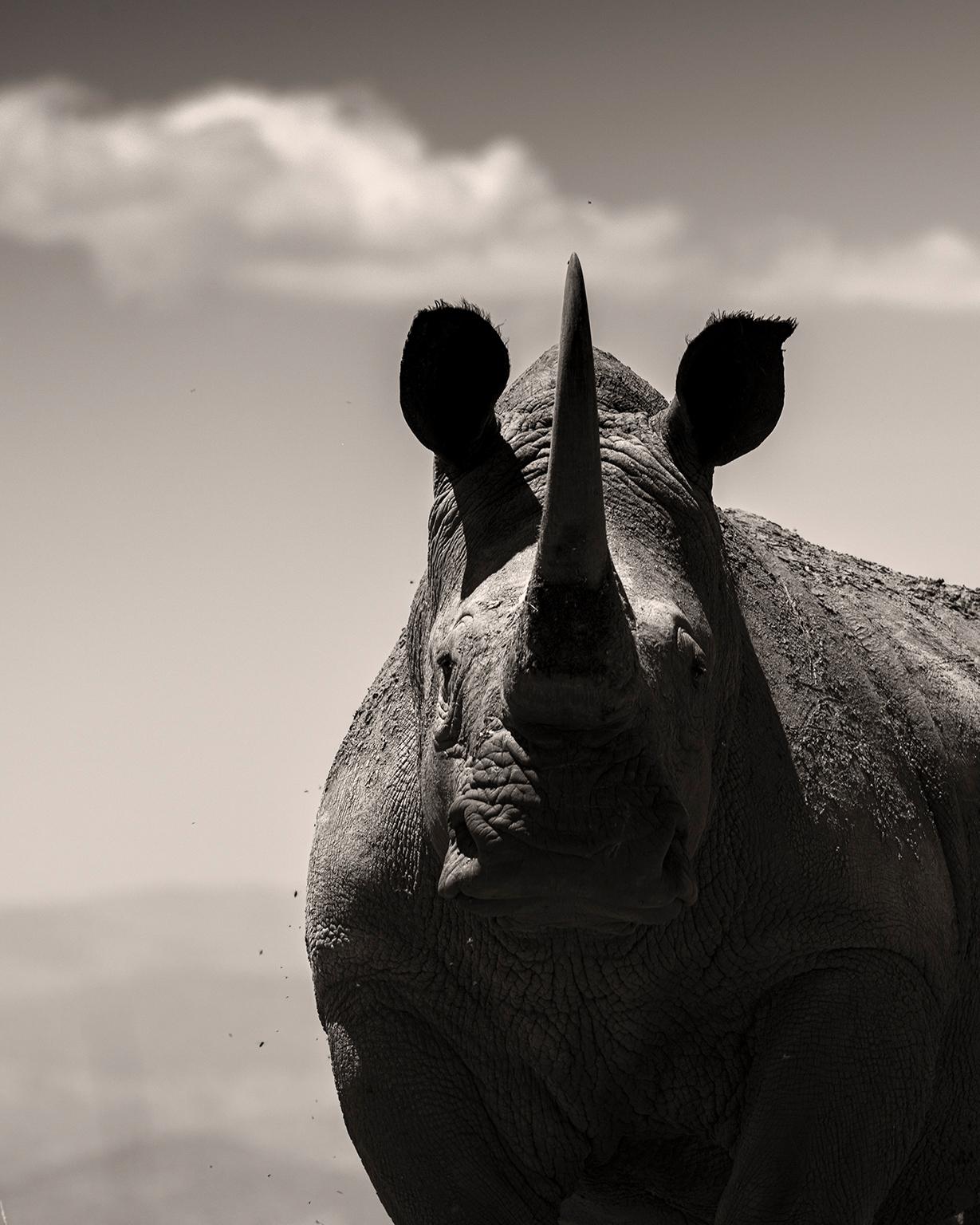 Joachim Schmeisser Black and White Photograph - Noble Soul, africa, Rhino, animal, wildlife, black and white photography