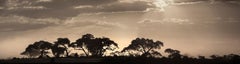 Out of Africa, contemporain, noir et blanc, Afrique, Photographie, Paysage