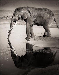 Black and White Photography