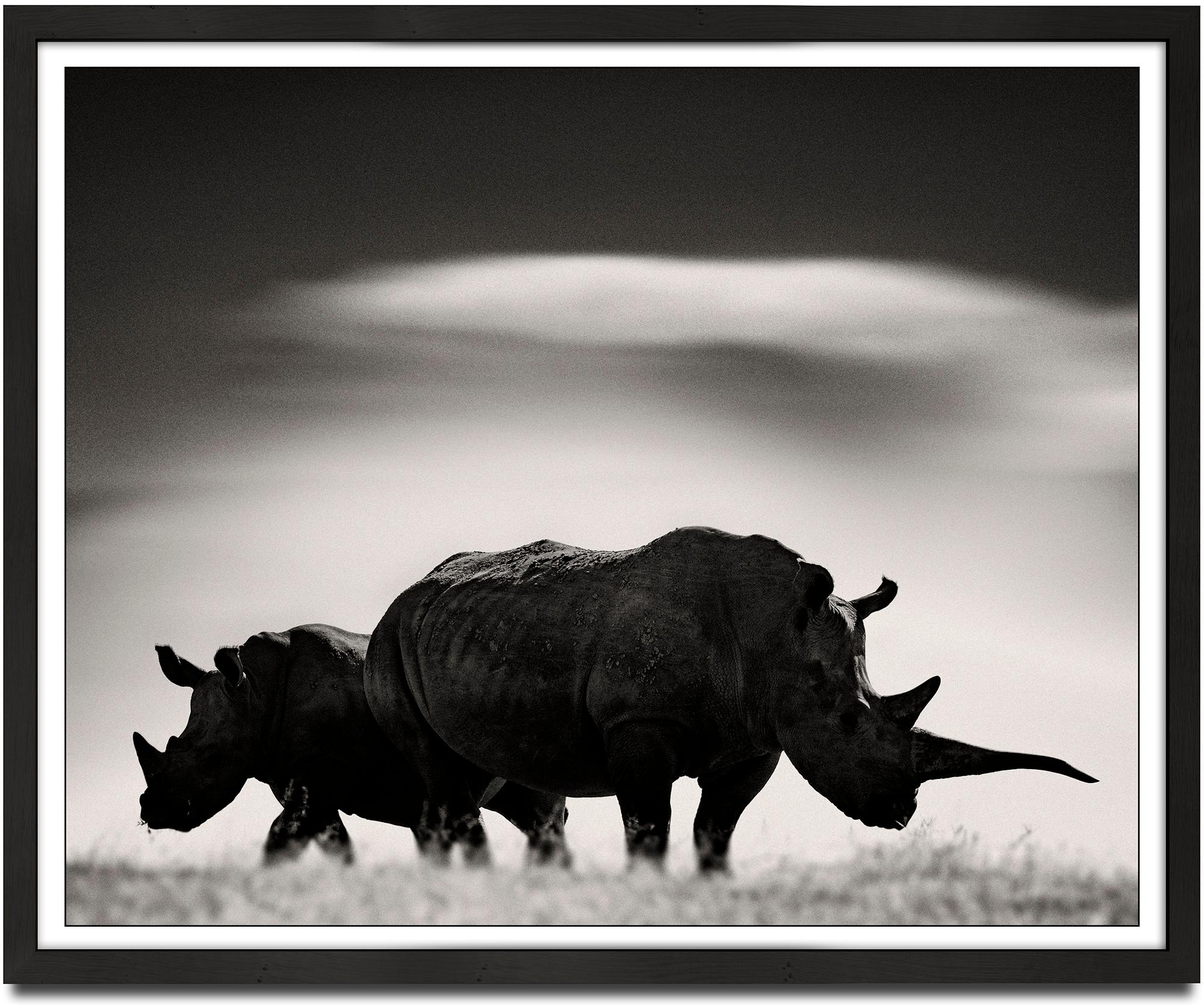 Rhino couple in front of Mount Kenya, animal, black and white photography - Photograph by Joachim Schmeisser