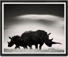 Deux Rhino devant le mont Kenya, photographies d'animaux en noir et blanc