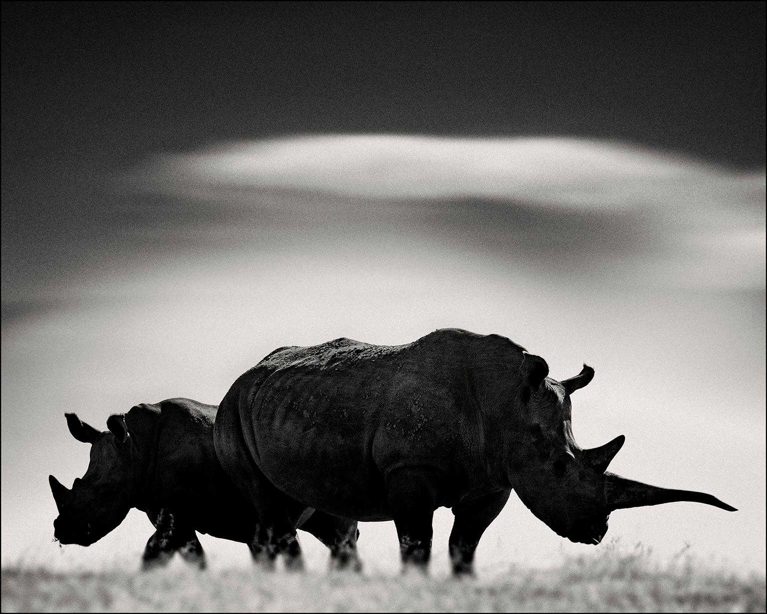 Joachim Schmeisser Black and White Photograph - Rhino couple in front of Mount Kenya, animal, black and white photography