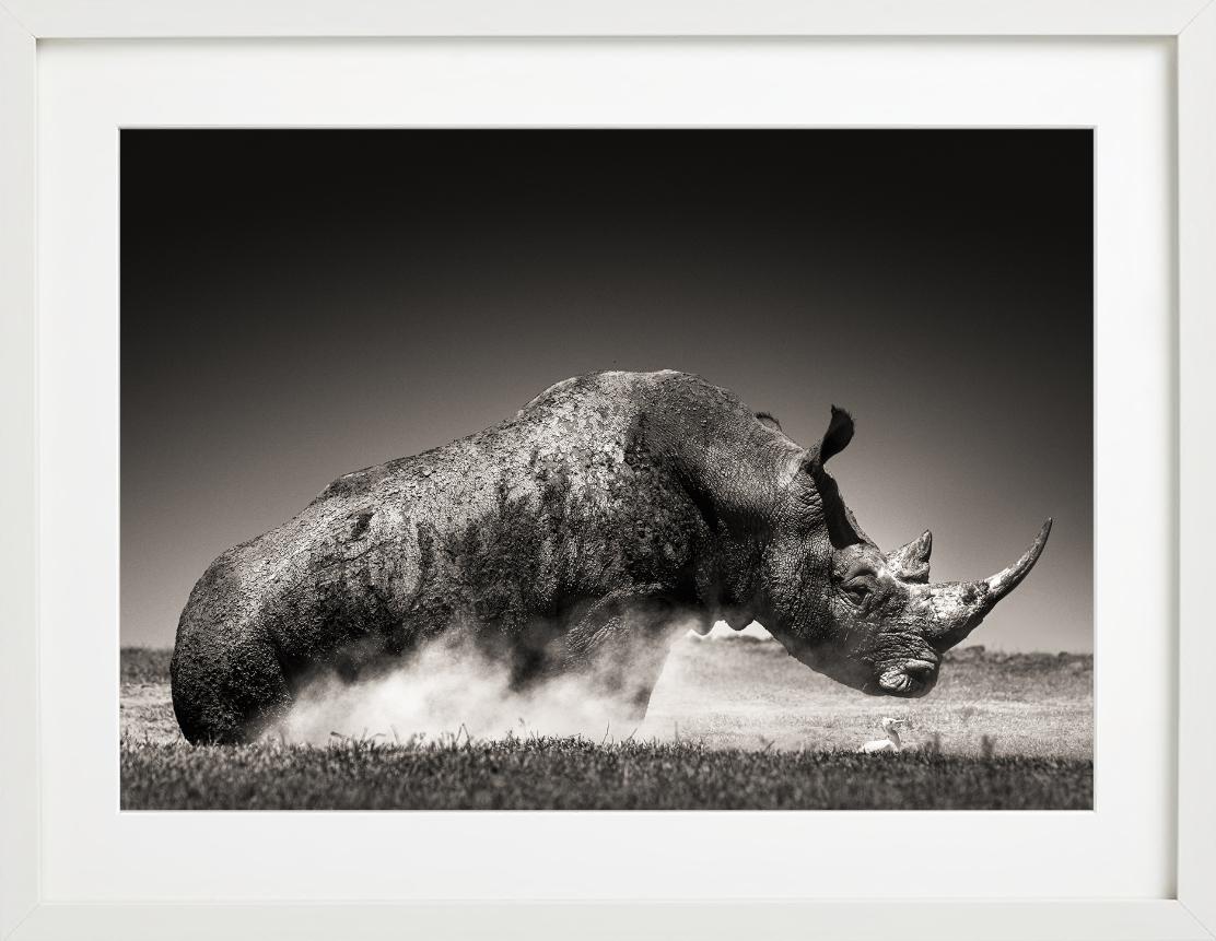 Rise – Tierporträt eines Rhinoceros im Staub, Kunstfotografie, 2019 – Photograph von Joachim Schmeisser