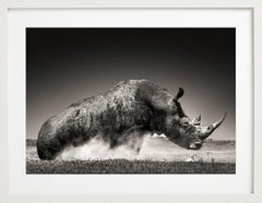 Rise - Animal Portrait of a Rhinoceros in the Wild, Fine Art Photography, 2019