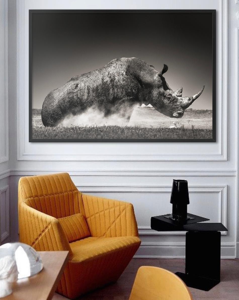 Rise – Tierporträt eines Rhinoceros im Staub, Kunstfotografie, 2019 im Angebot 1