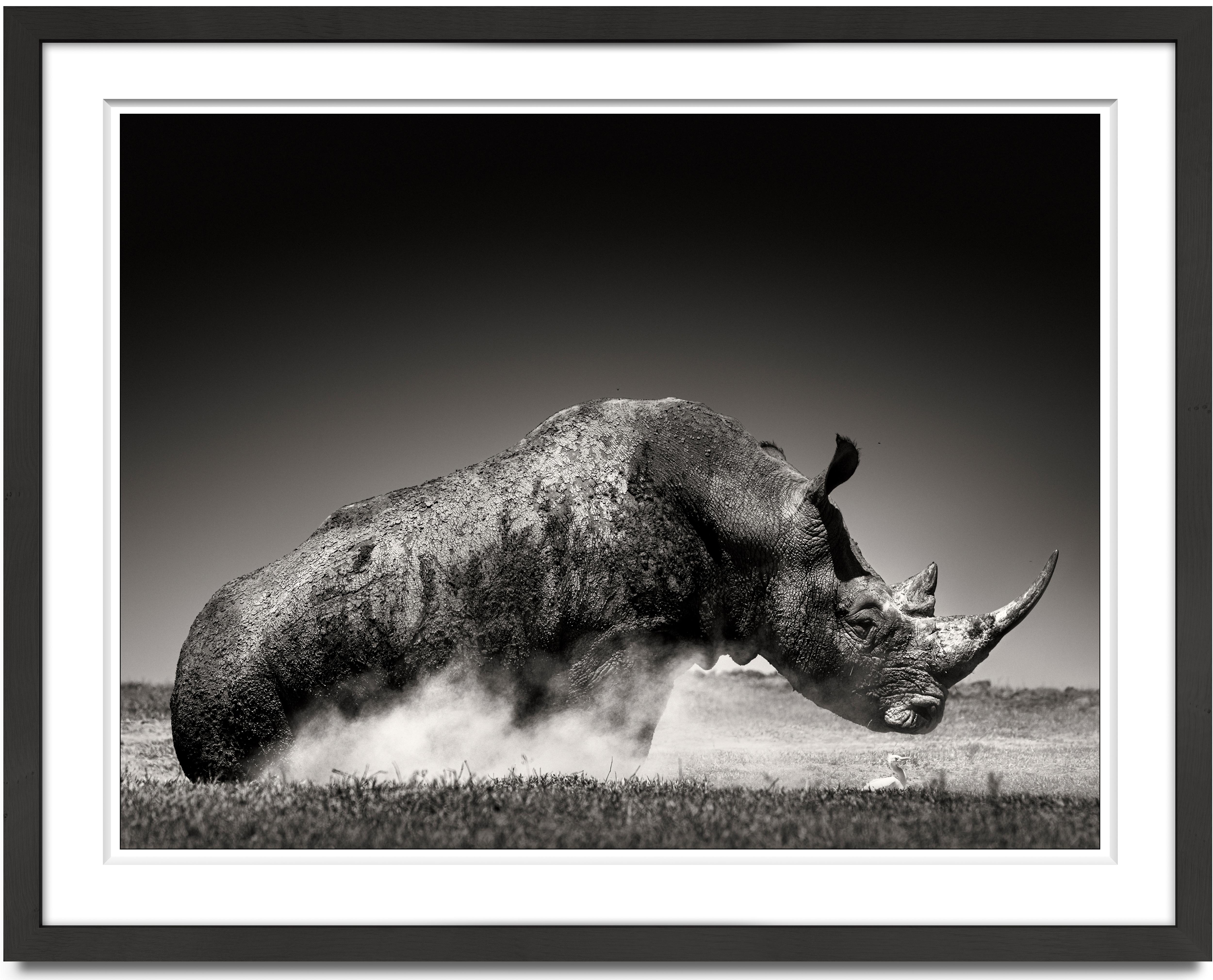 Rise I, animal, wildlife, black and white photography, rhino, africa - Photograph by Joachim Schmeisser