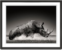 Rise I, animal, wildlife, black and white photography, rhino, africa