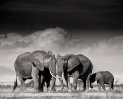 Pigment Black and White Photography