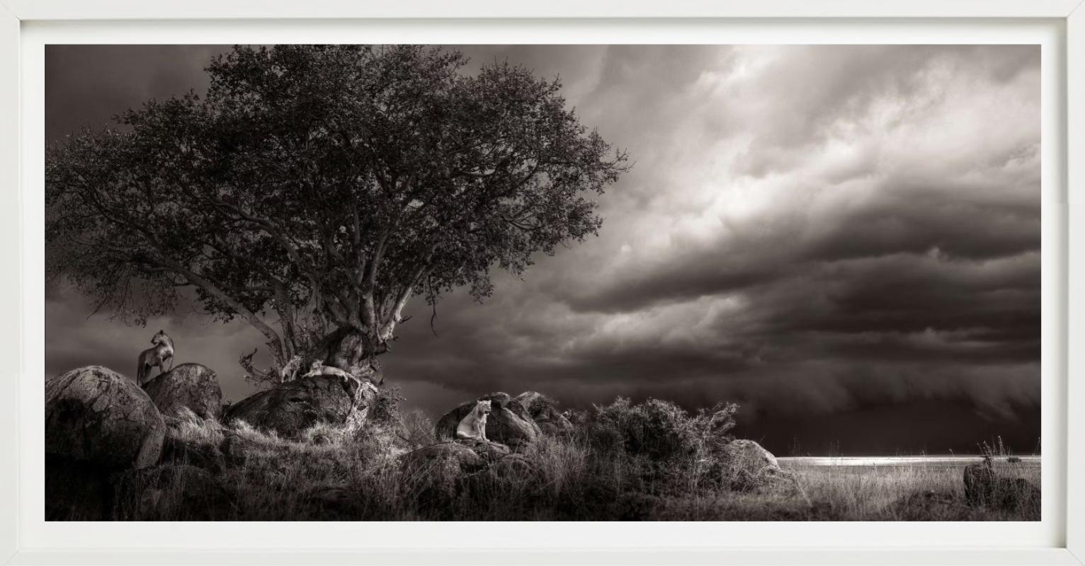 Abri, photographie d'art, 2023 - Photograph de Joachim Schmeisser