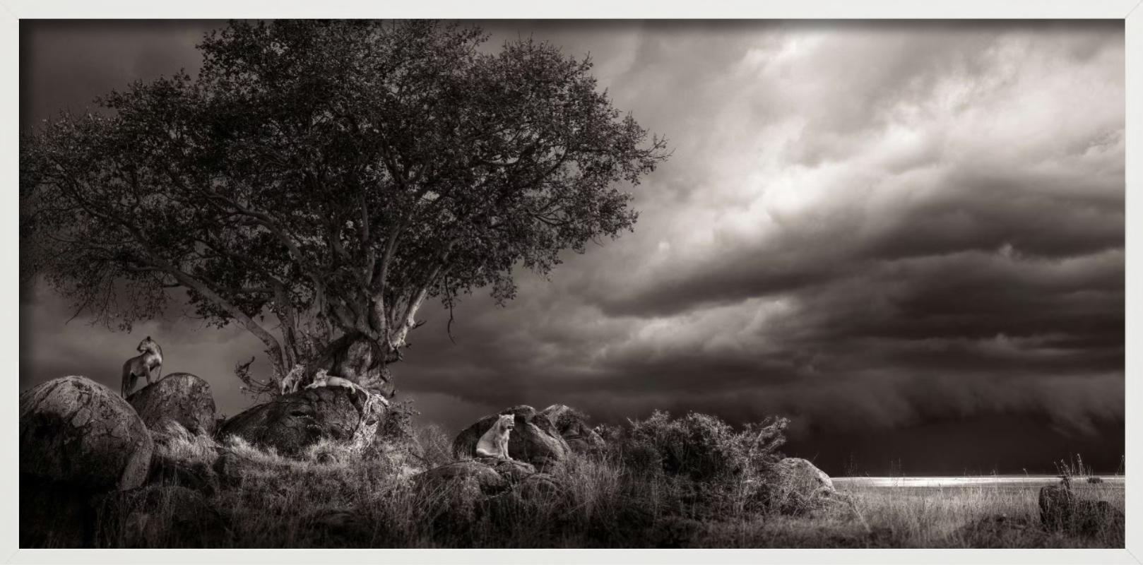 Abri, photographie d'art, 2023 - Contemporain Photograph par Joachim Schmeisser
