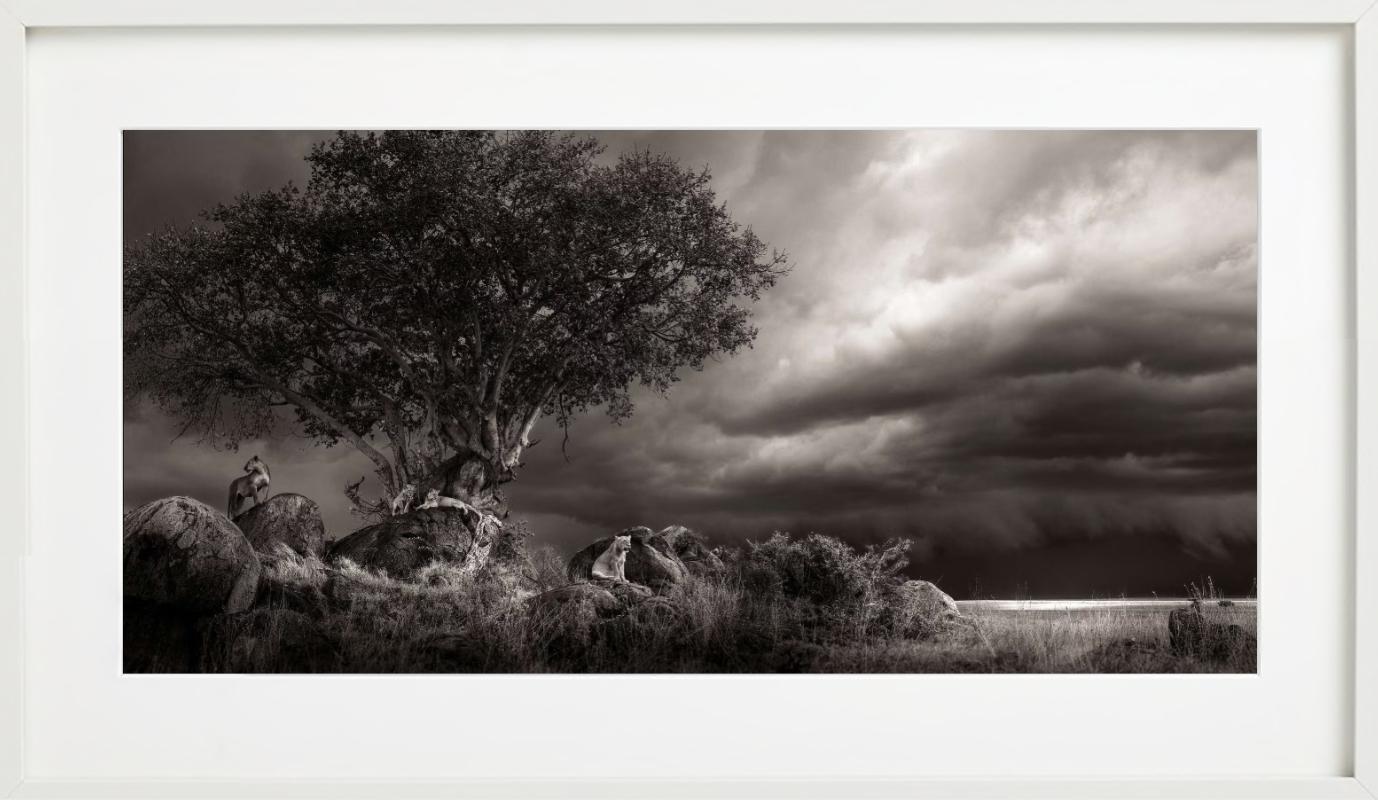 Abri, photographie d'art, 2023 - Noir Black and White Photograph par Joachim Schmeisser