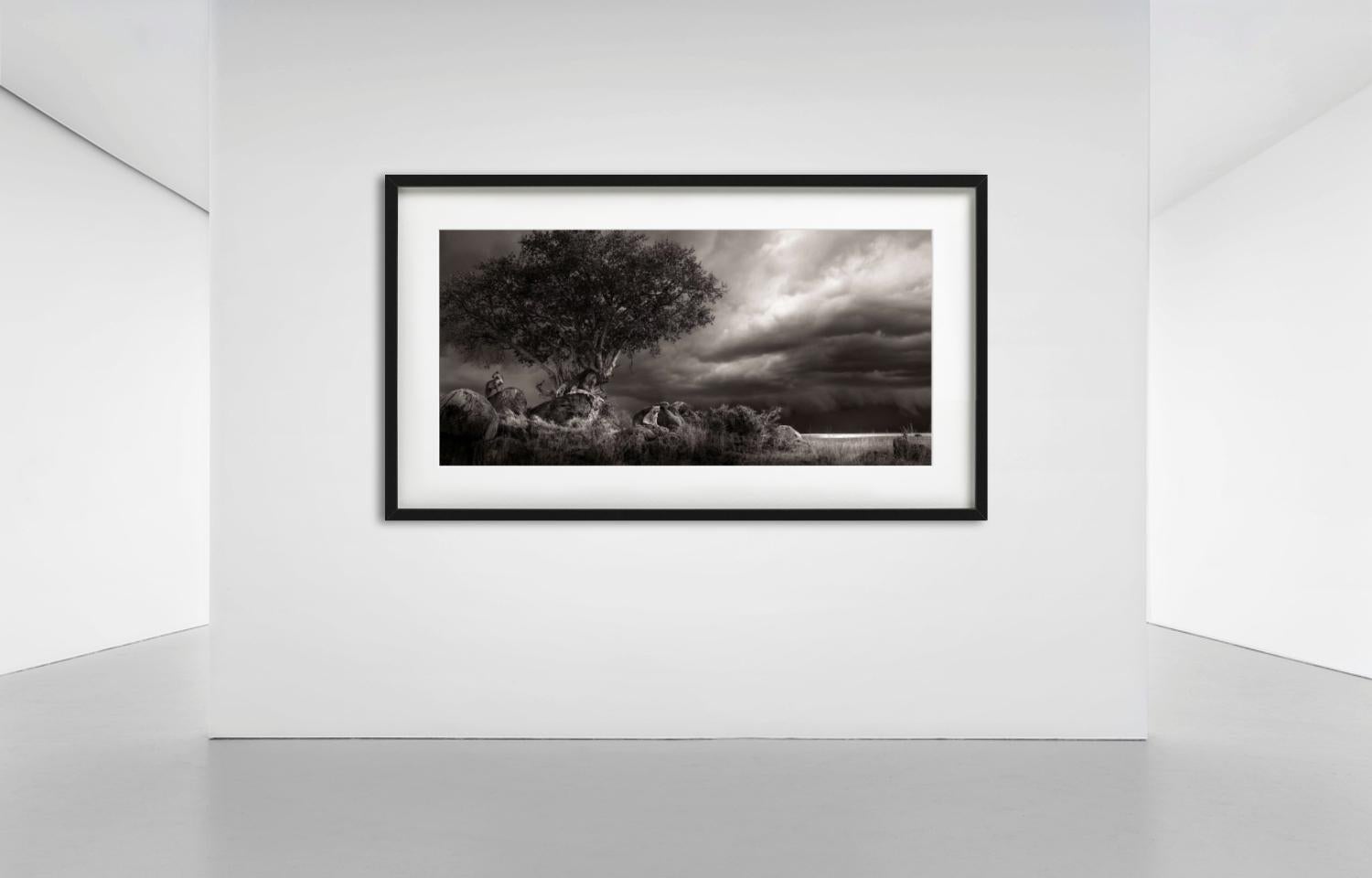 Abri, photographie d'art, 2023 en vente 1