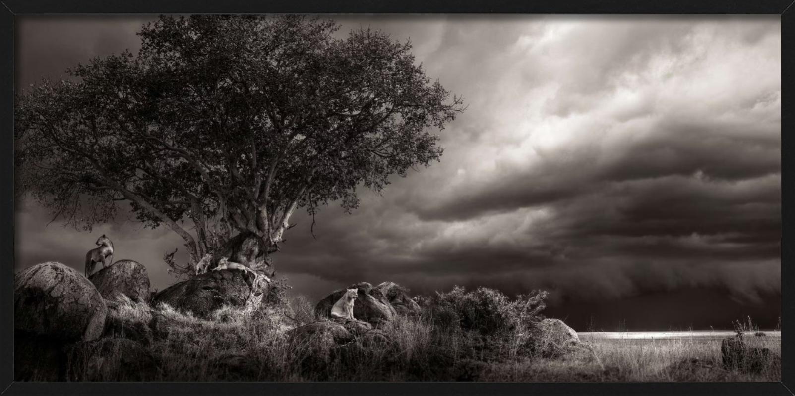 Abri, photographie d'art, 2023 en vente 4