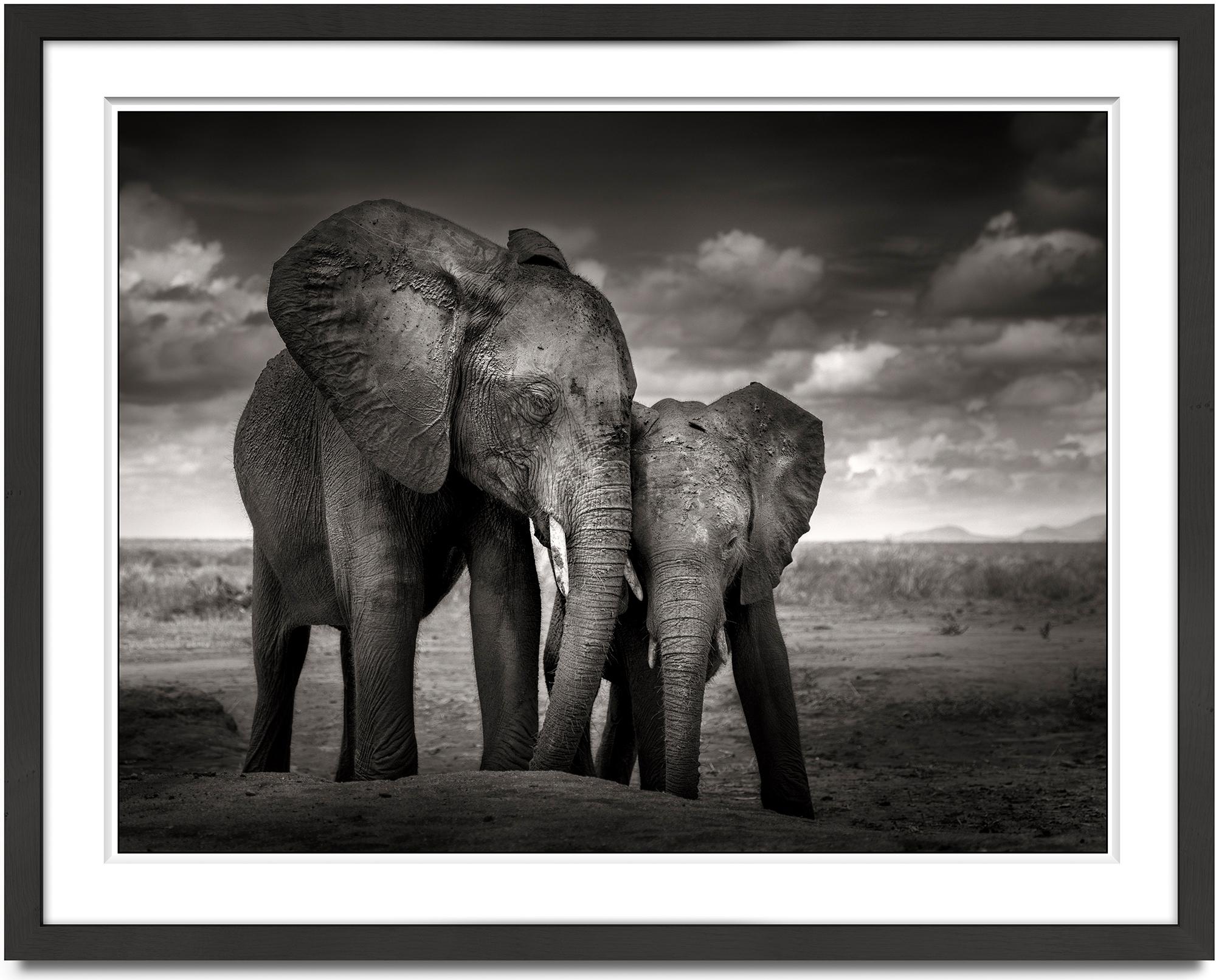 Soulmates, Elephant, animal, wildlife, black and white photography, africa - Photograph by Joachim Schmeisser