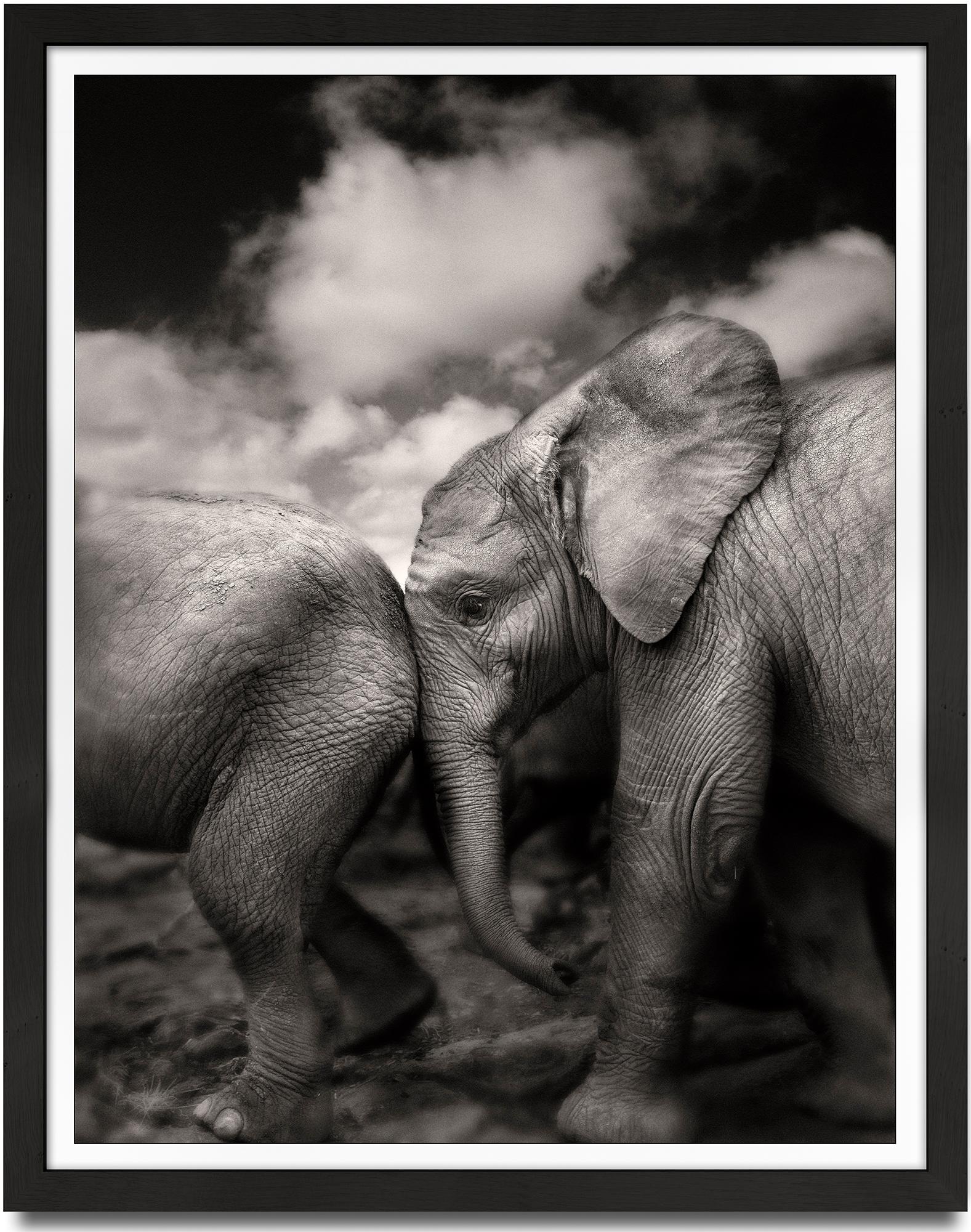 Suguta, Kenya, Elephant, black and white photography, wildlife - Photograph by Joachim Schmeisser