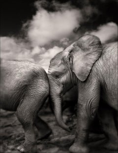 Suguta, Kenya, Elephant, black and white photography, wildlife