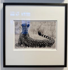 The Divine, animal, black and white photography, cheetah, africa