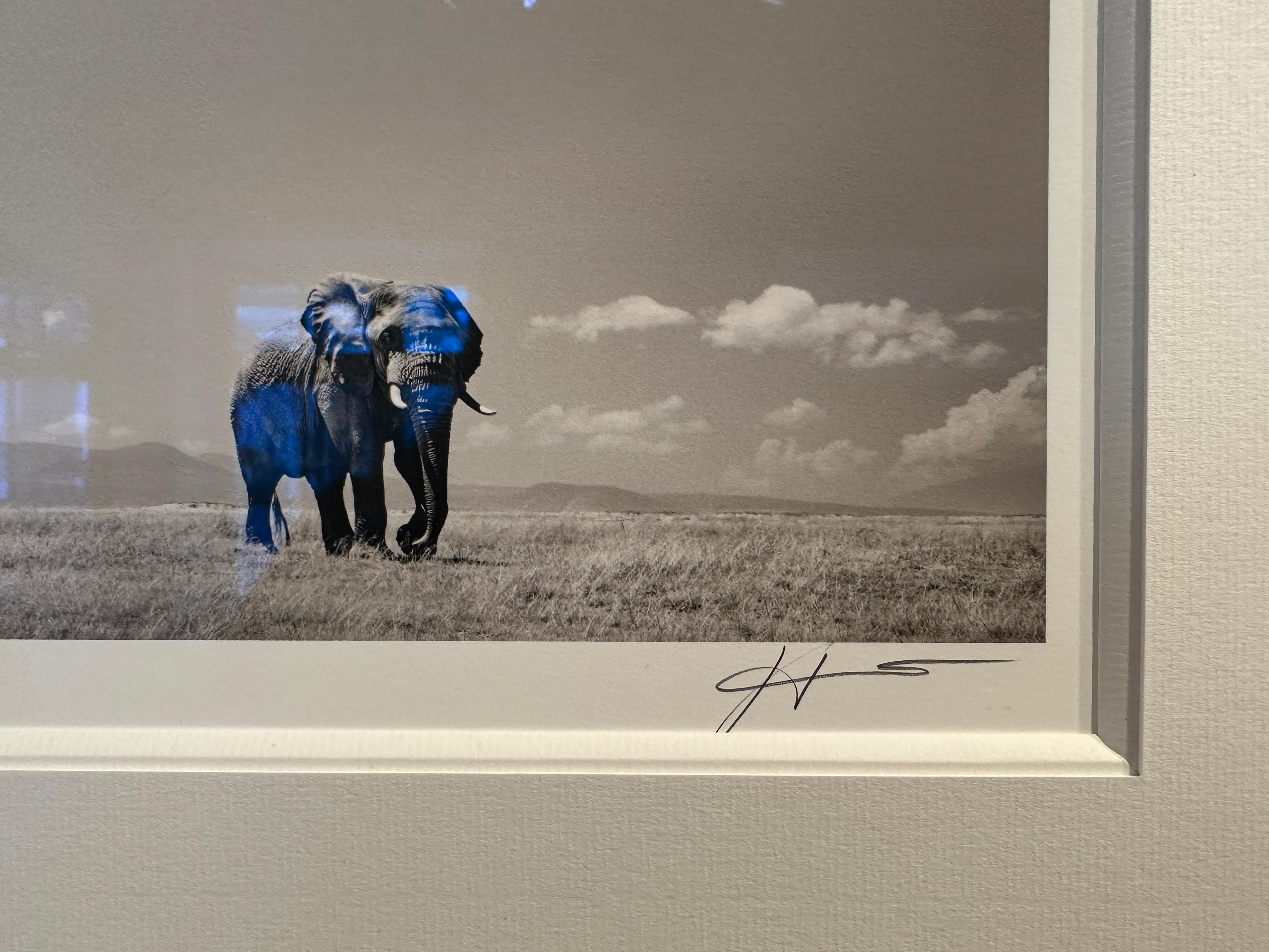 Edition No. 3/12
image size 37 x 27 cm
signed and numbered
Framed with mat and anti-reflex glass

The Matriarch guides her elephant family to the waterhole in Amboseli Ecosystem.

Joachim Schmeisser is represented by leading Galleries worldwide. His