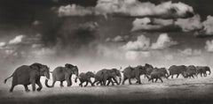 Thunderstorm II, animal, wildlife, black and white photography, elephant, africa