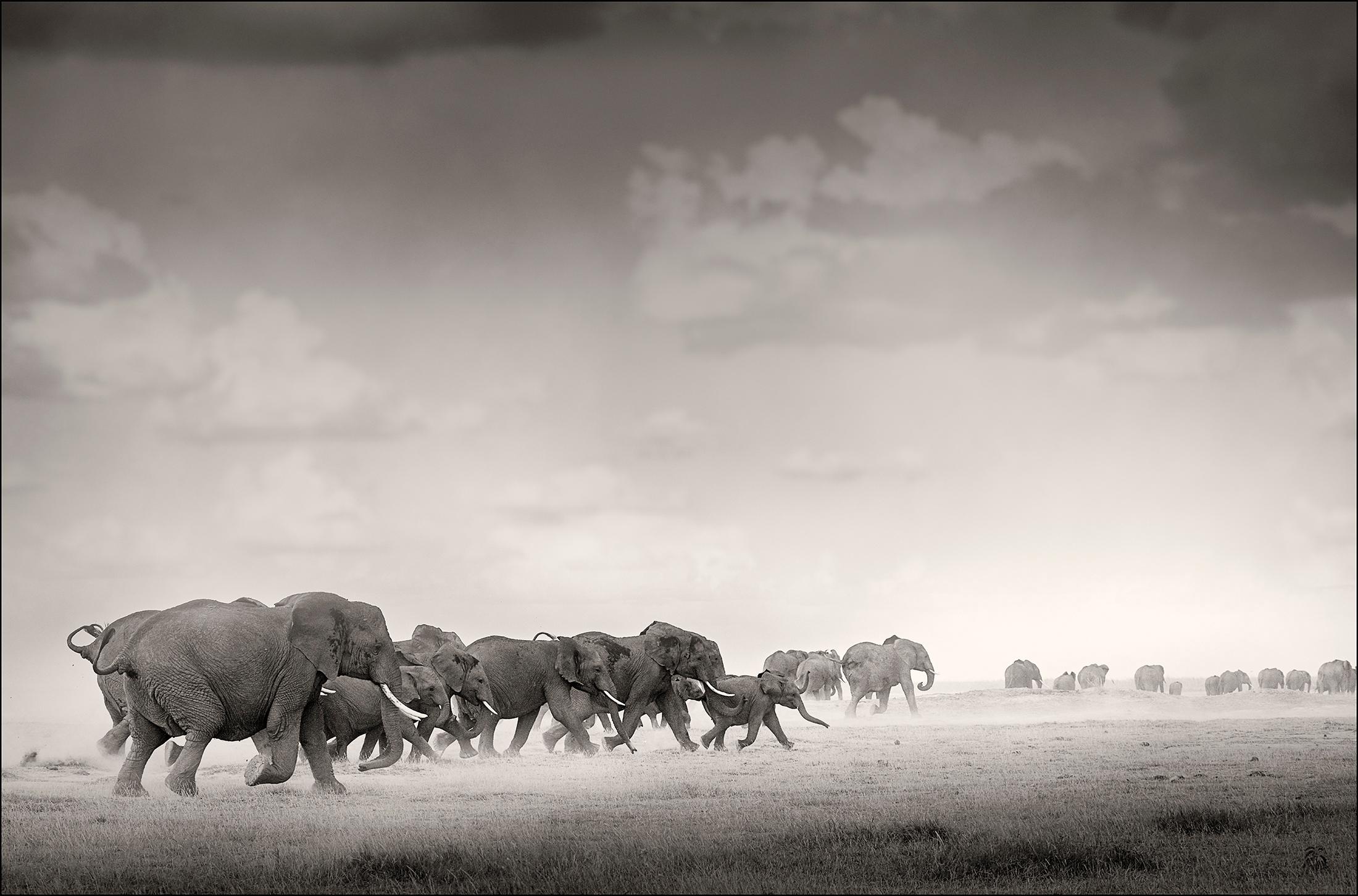 Joachim Schmeisser Landscape Photograph - Thunderstorm III, Kenya, Elephant, wildlife, b&w photography