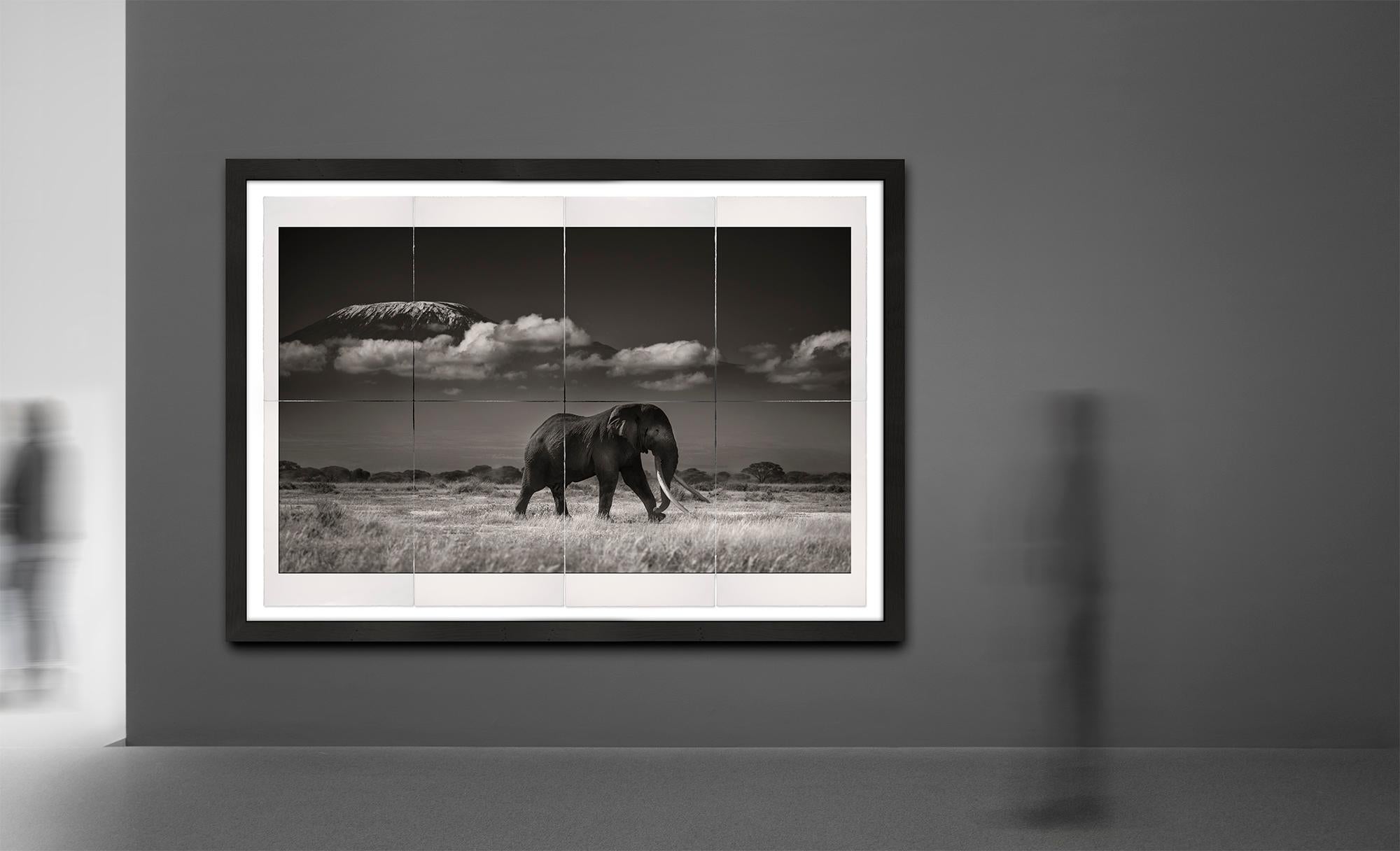 Tim vor Kilimanjaro, Platin, Elefant, Schwarz-Weiß-Fotografie (Zeitgenössisch), Photograph, von Joachim Schmeisser