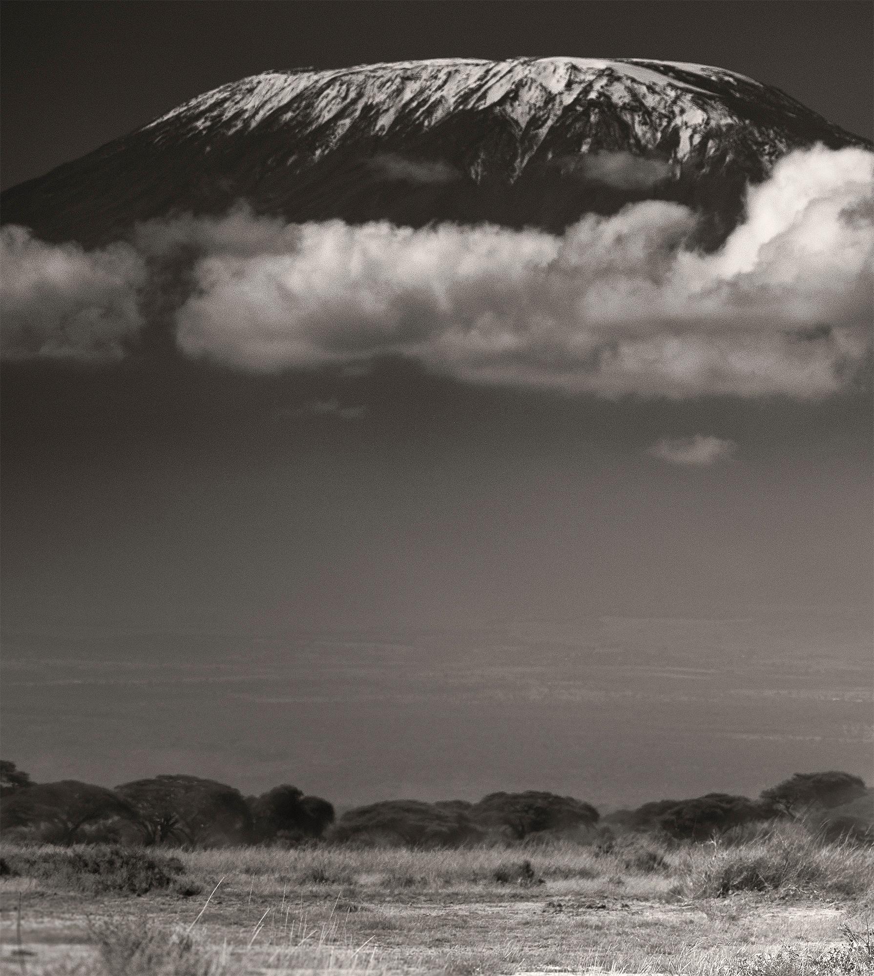 Tim vor Kilimanjaro, Platin, Elefant, Schwarz-Weiß-Fotografie im Angebot 1