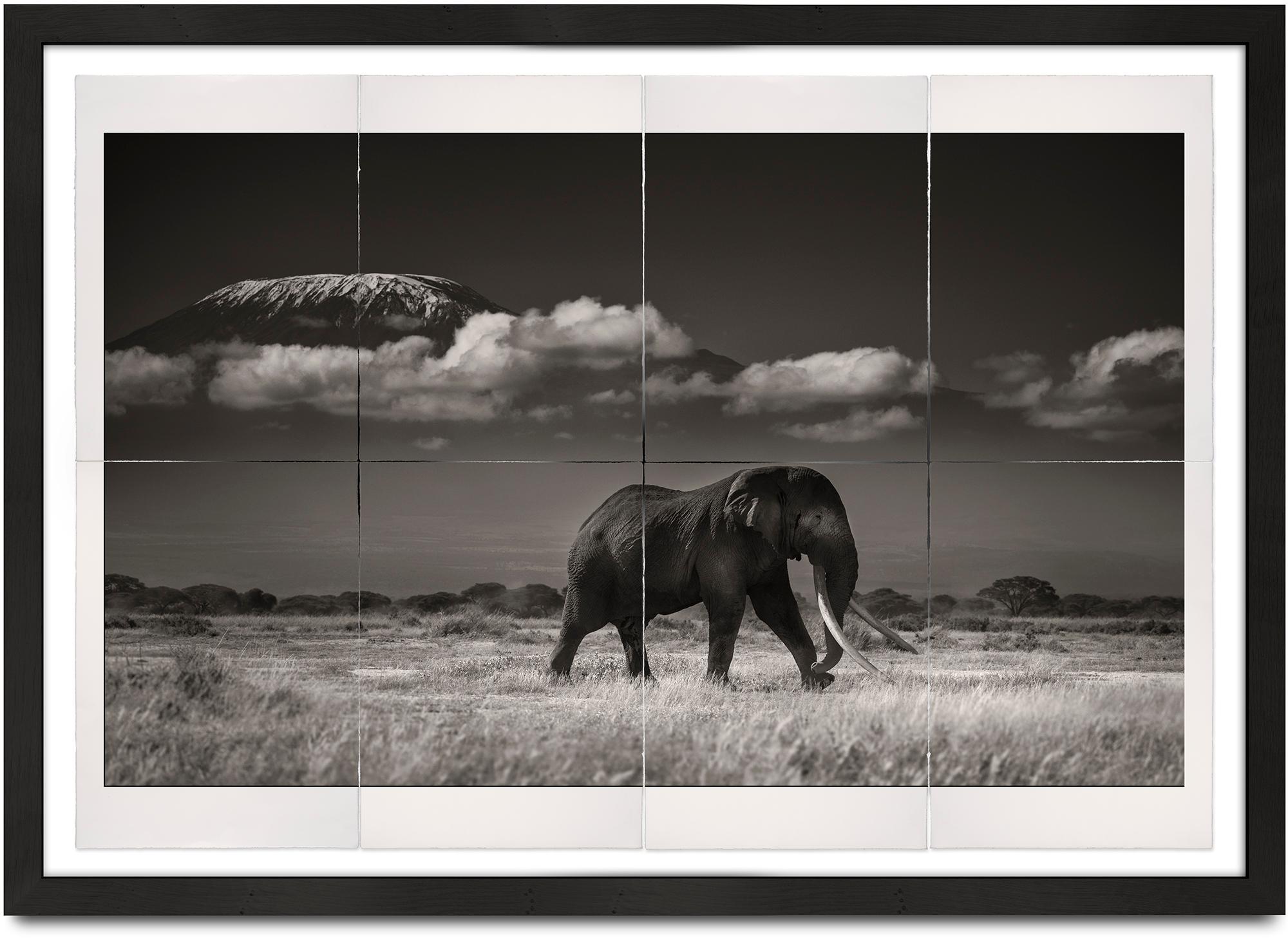 Joachim Schmeisser Black and White Photograph - Tim in front of Kilimanjaro, Platinum, elephant, black and white photography