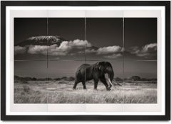 Tim devant Kilimanjaro, platine, photographie d'éléphant, en noir et blanc