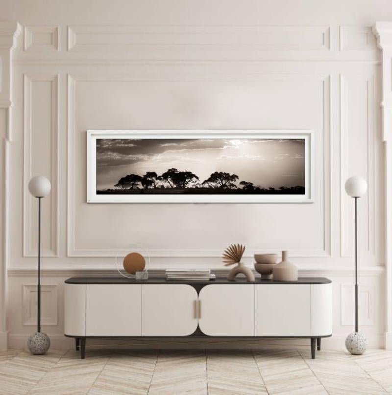 VOYAGE DANS LE TEMPS - Paysage, photographie d'art - Photograph de Joachim Schmeisser