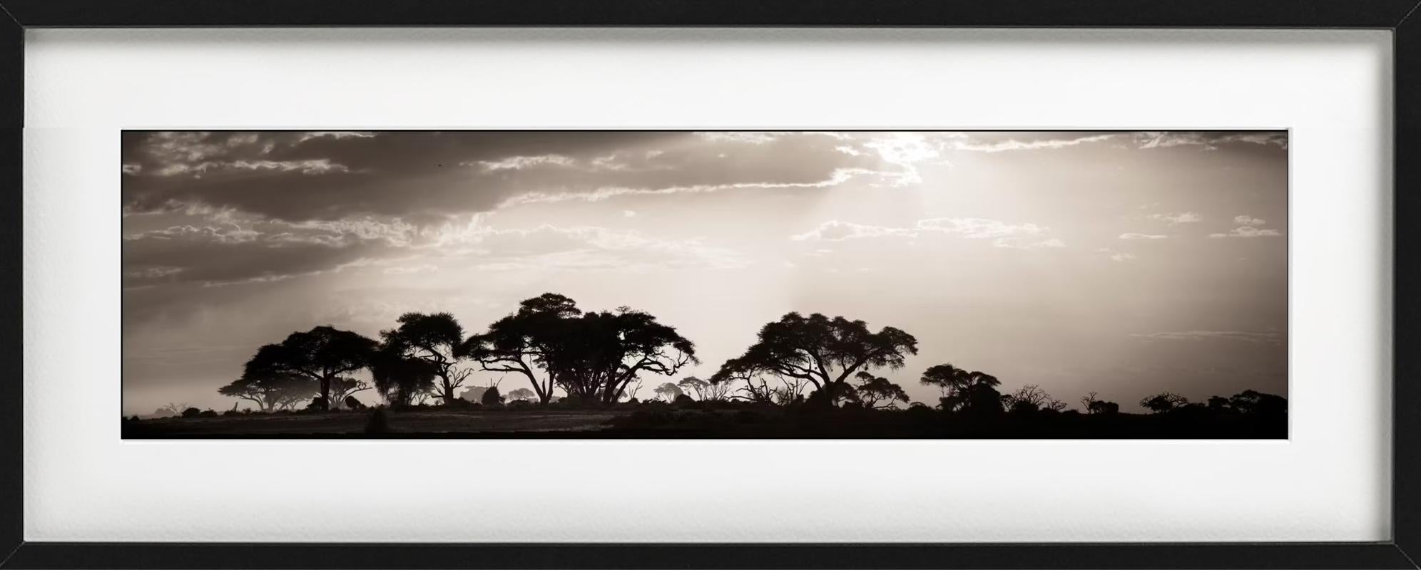 VOYAGE DANS LE TEMPS - Paysage, photographie d'art - Marron Black and White Photograph par Joachim Schmeisser