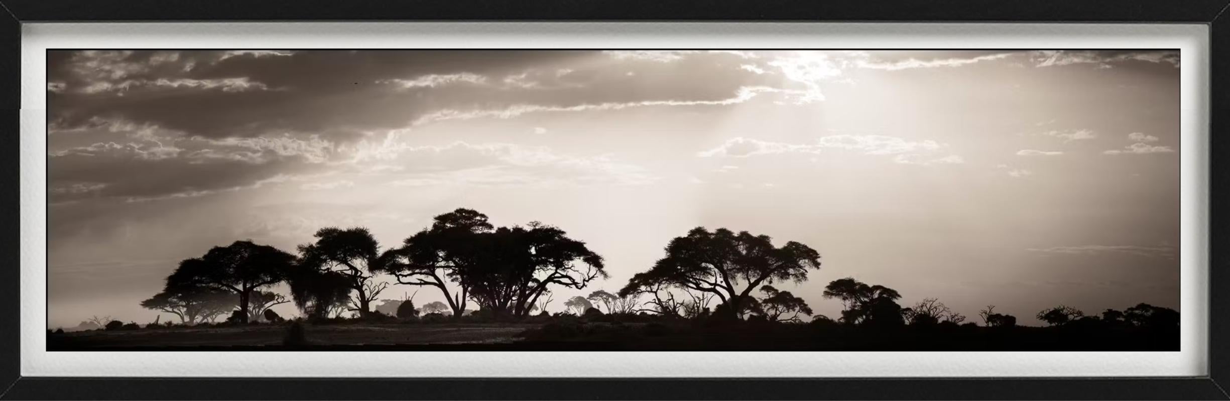 Voyage dans le temps, photographié par Joachim Schmeisser.

Tous les tirages sont en édition limitée. Disponible en plusieurs tailles. Encadrement haut de gamme sur demande. Toutes les impressions sont réalisées et signées par l'artiste. 

Le