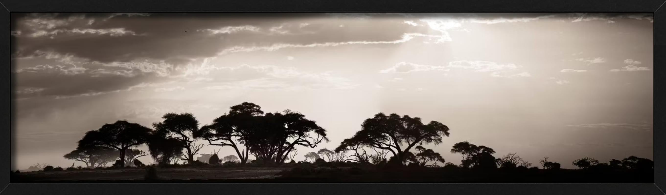 VOYAGE DANS LE TEMPS - Paysage, photographie d'art en vente 1