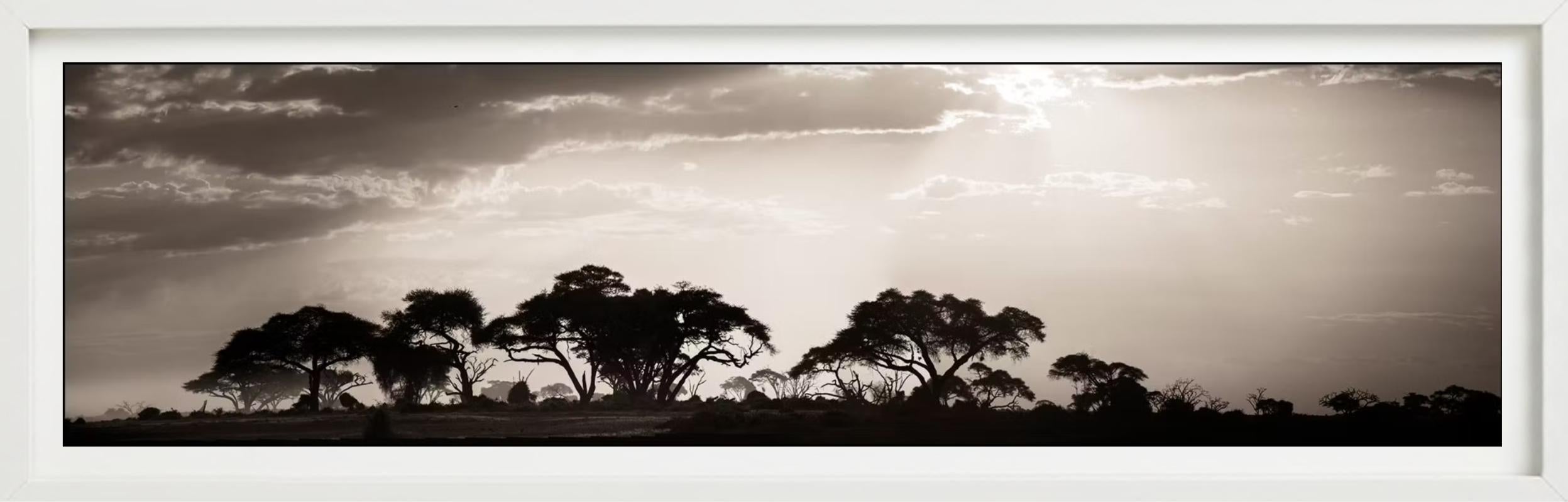 VOYAGE DANS LE TEMPS - Paysage, photographie d'art en vente 3