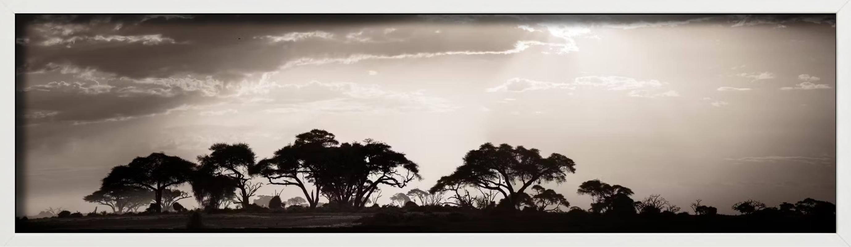 VOYAGE DANS LE TEMPS - Paysage, photographie d'art en vente 4