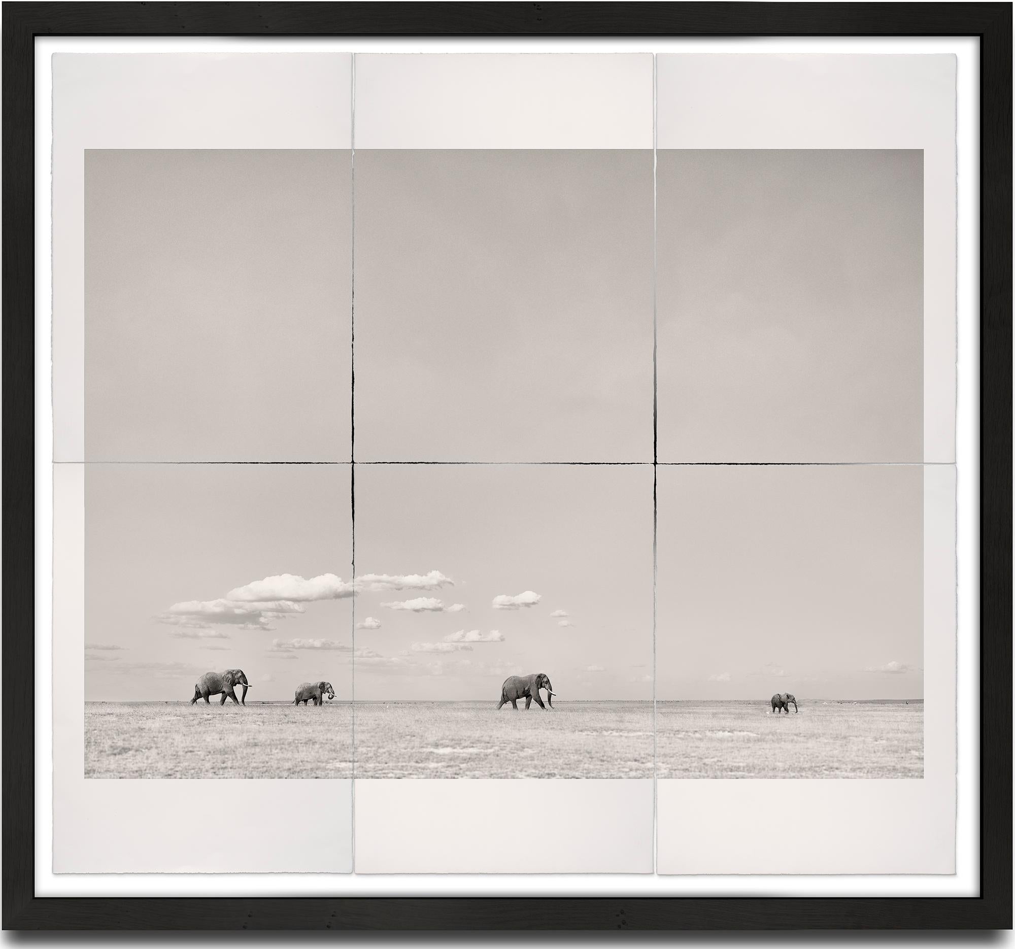 Joachim Schmeisser Landscape Photograph – Tomorrow's Leader, Platin, Tier, Elefant, Schwarz-Weiß-Fotografie