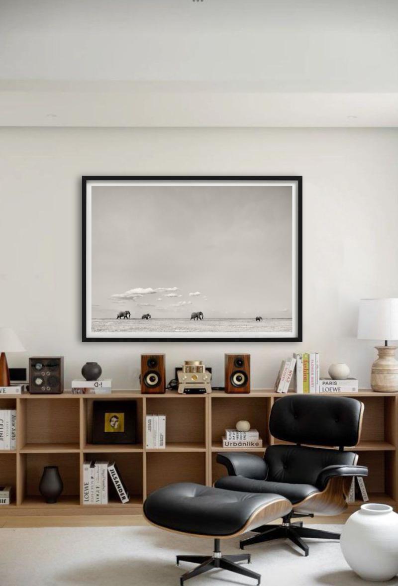 TOMORROWS LEADER - Paysage avec éléphants, photographie d'art, 2019 en vente 5