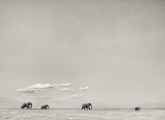 Black and White Photography