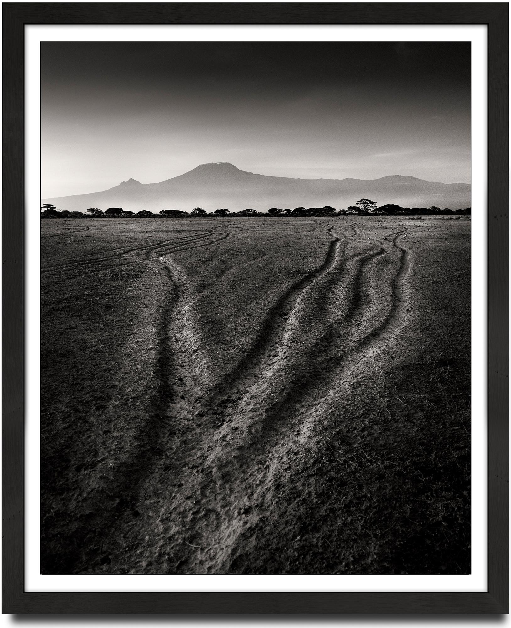 Tracks of the last Giants, animal, elephant, black and white photography - Photograph by Joachim Schmeisser