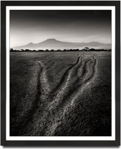 Tracks of the last Giants, Kenya, Elephant, black and white photography