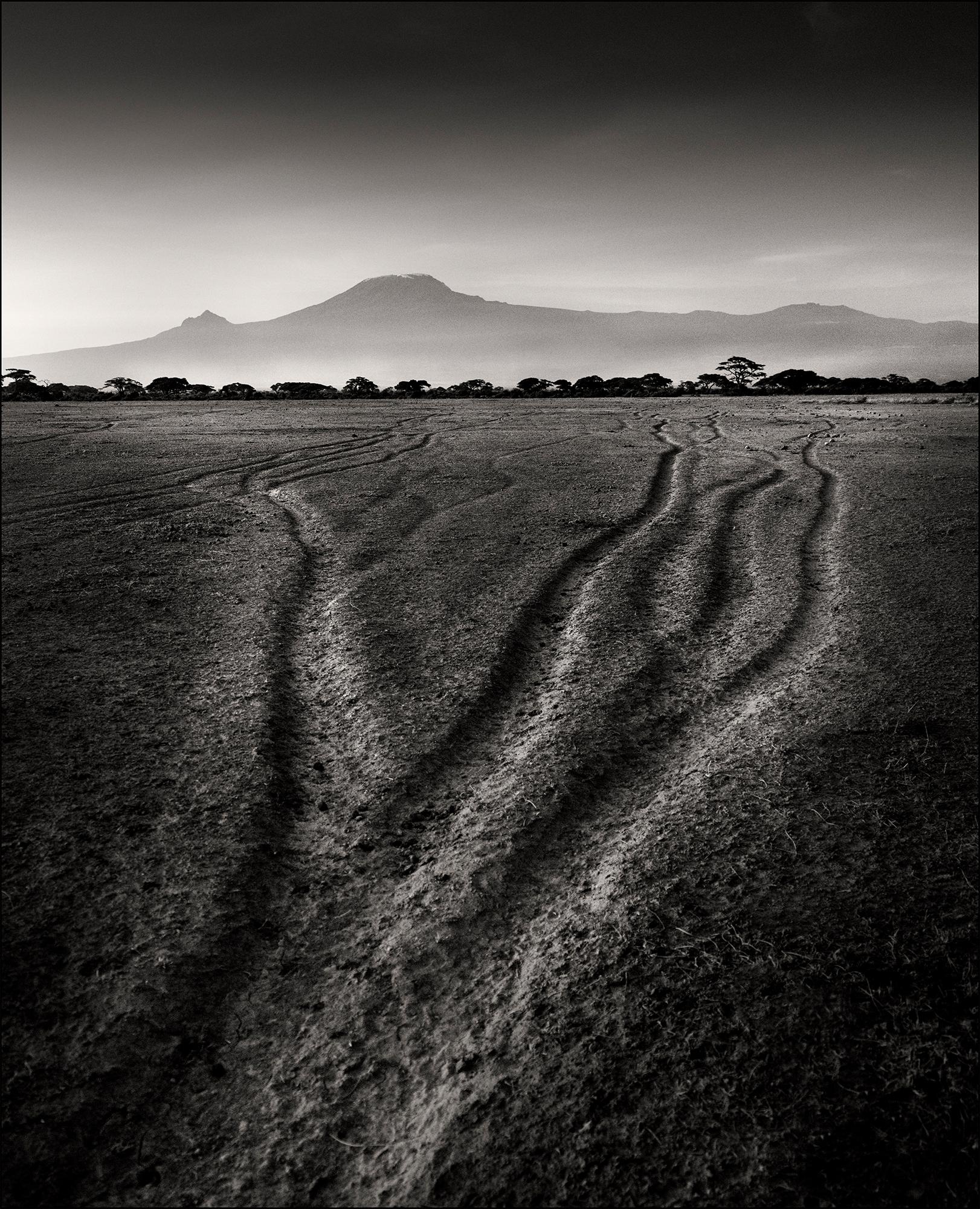 Joachim Schmeisser Landscape Photograph - Tracks of the last Giants, animal, elephant, black and white photography