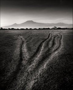 Tracks of the last Giants, Tier-, Elefanten- und Schwarz-Weiß-Fotografie