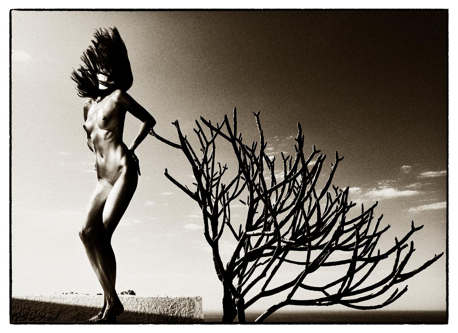 Black and White Photograph de Joachim Schmeisser - Árbol de la Vida, contemporáneo, blanco y negro, Fotografía, desnudo