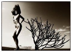Albero della vita, contemporaneo, bianco e nero, Fotografia, nudo
