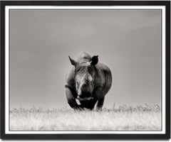 Two seconds left, animal, wildlife, black and white photography, rhino, africa