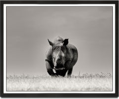Two seconds left, Kenya, Rhino, wildlife, b&w photography