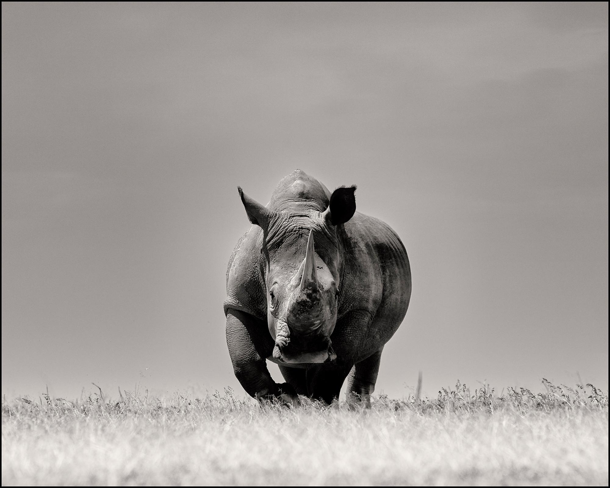 Joachim Schmeisser Black and White Photograph - Two seconds left, animal, wildlife, black and white photography, rhino, africa