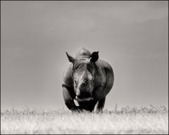 Two seconds left, animal, wildlife, black and white photography, rhino, africa