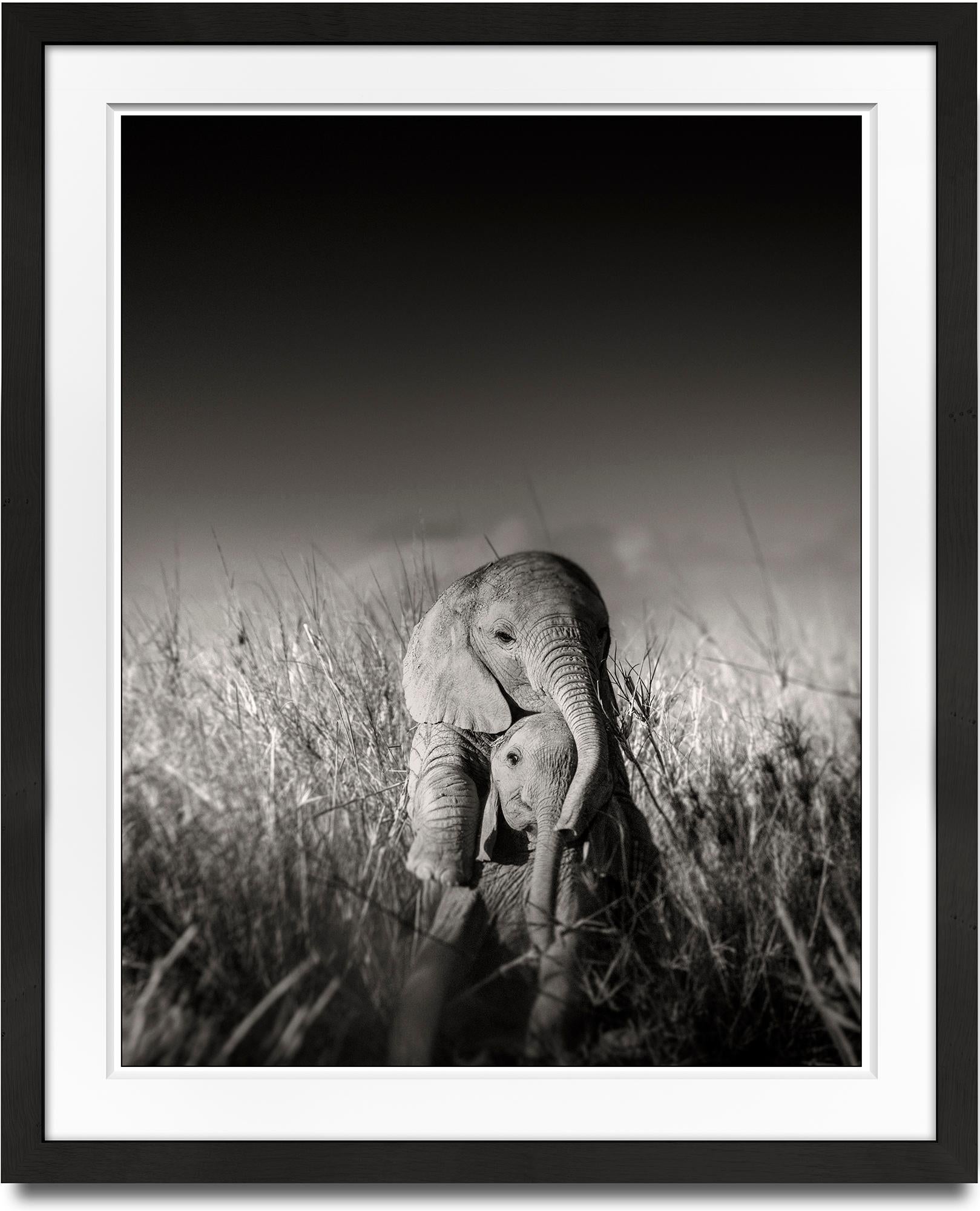 Wild elephant babies playing I, contemporary, wildlife, b+w photography - Photograph by Joachim Schmeisser